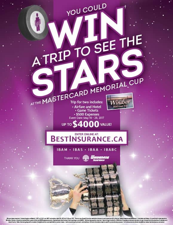 Trip To See The Stars Poster