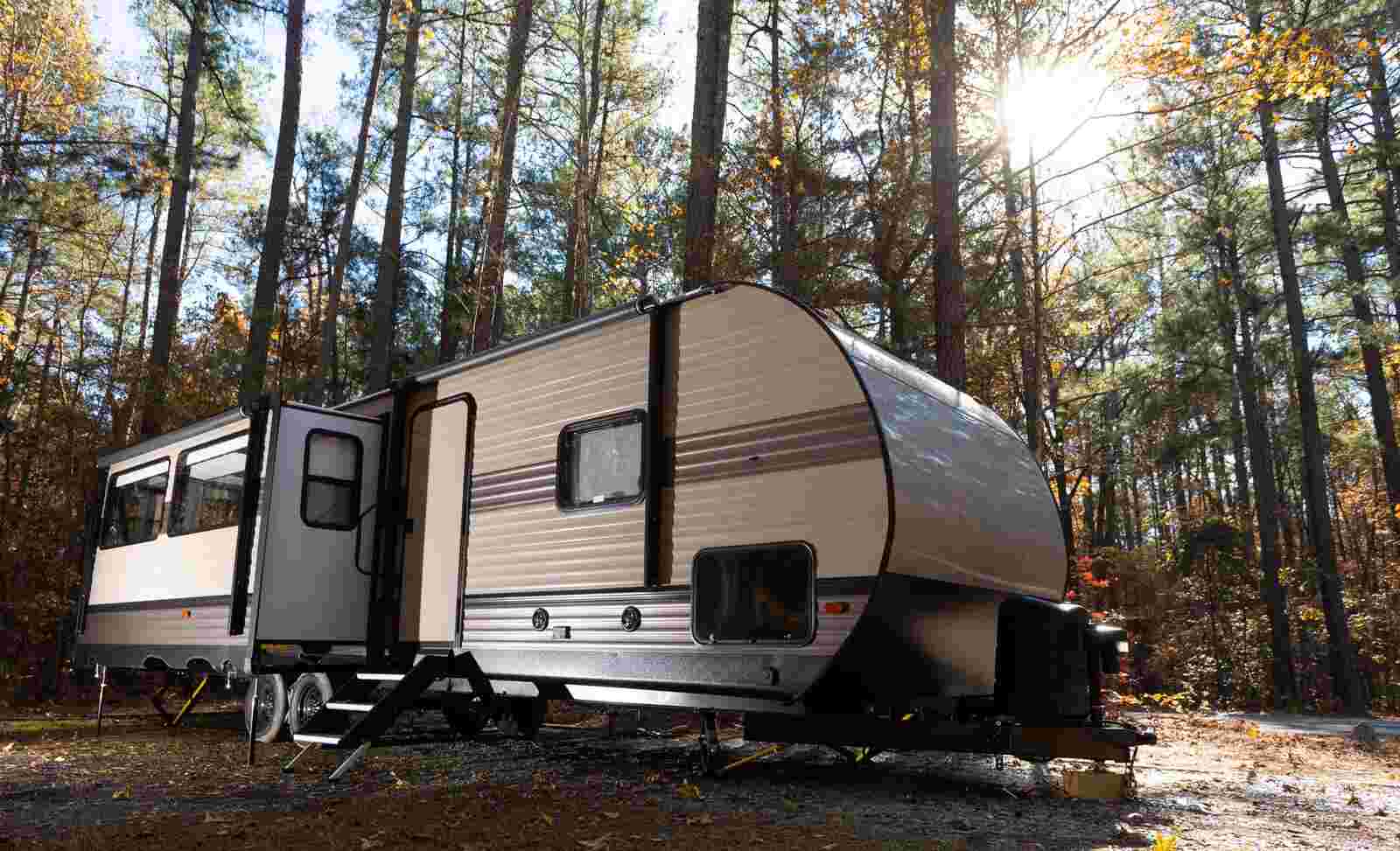 Does Insurance Cover Tree Damage To My RV?