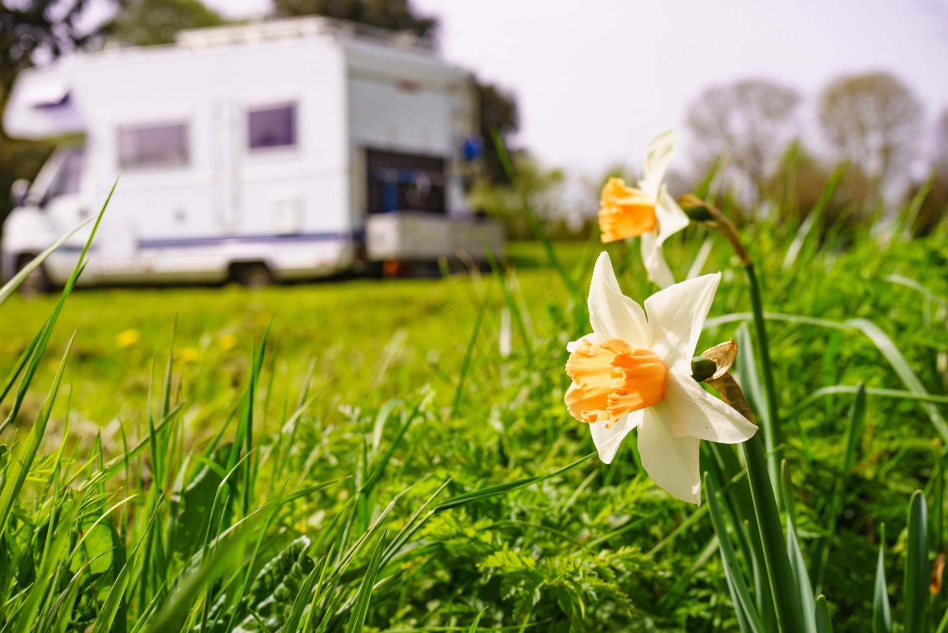 The Hidden Risks of Spring RV Travel: Are You Covered?