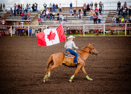 insurance brokers red deer