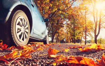4 Best Driving Tips for Autumn