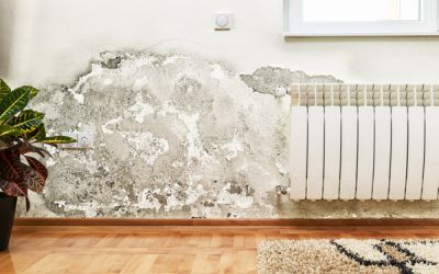 Water Damage: What Does Home Insurance Cover?